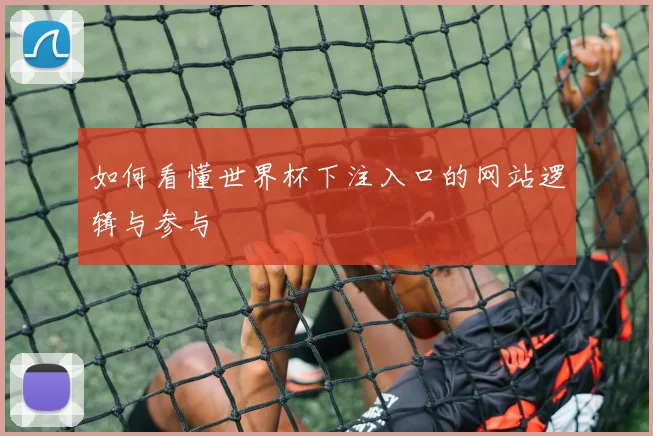 如何看懂世界杯下注入口的网站逻辑与参与