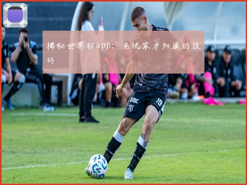 揭秘世界杯app：老玩家才知道的技巧